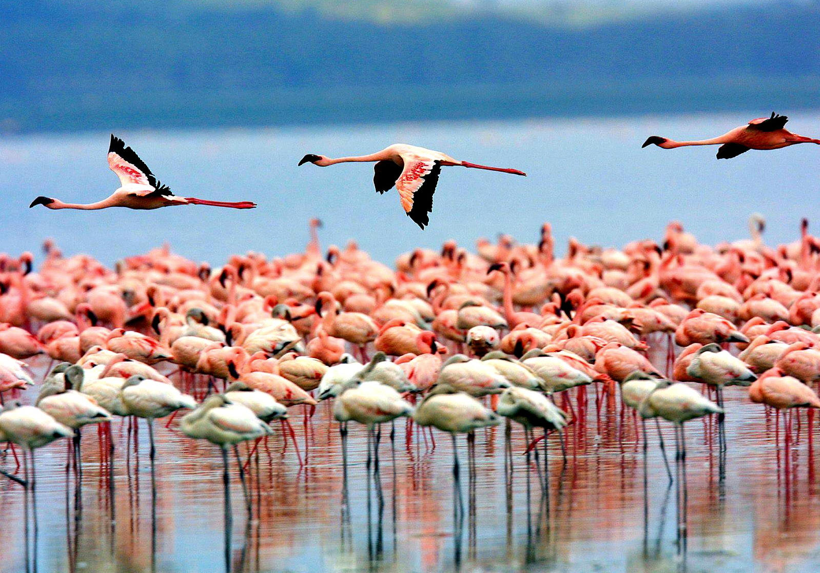 Lake Manyara through the seasons