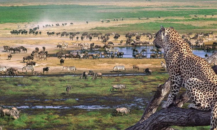 Ngorongoro Crater landscape through seasons