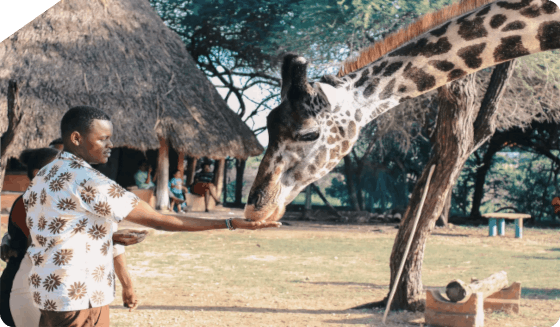 Safari vehicle viewing wildlife in Tanzania