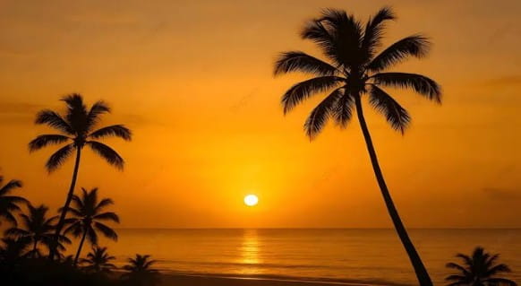 Best Time to Visit Tanzania