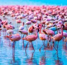 Lake Manyara National Park